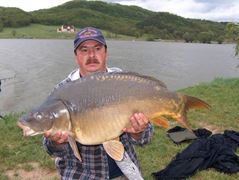 Cipibaits